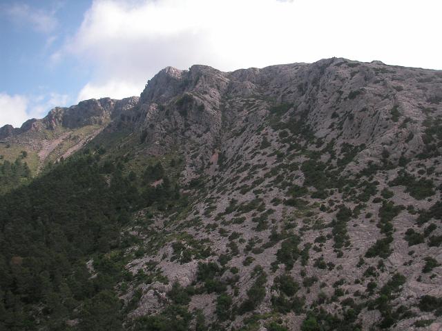 Puig Tomir